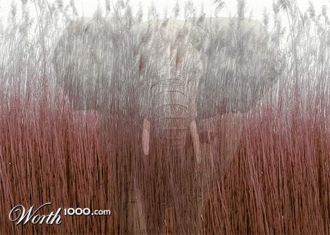 Photoshop Design by whitewolf81