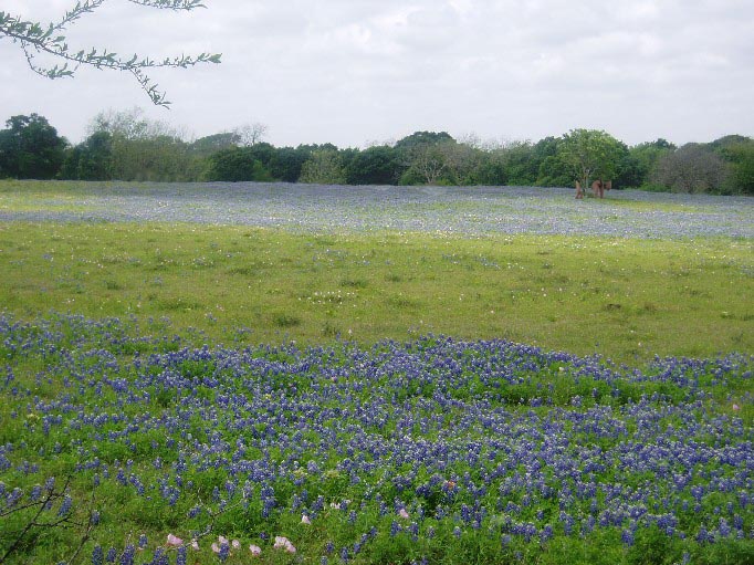 Photoshop-Design von perryman333 für DesignCrowd (Community Contests) | Design #8963791