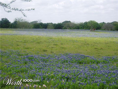 Photoshop Design by perryman333