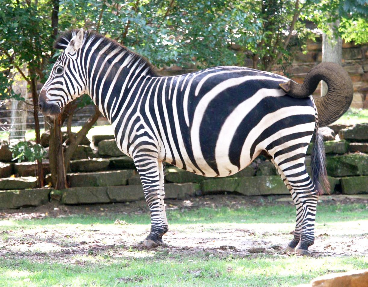 Photoshop Design by Fuggmo for DesignCrowd (Community Contests) | Design #8963802