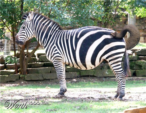 Photoshop Design by Fuggmo