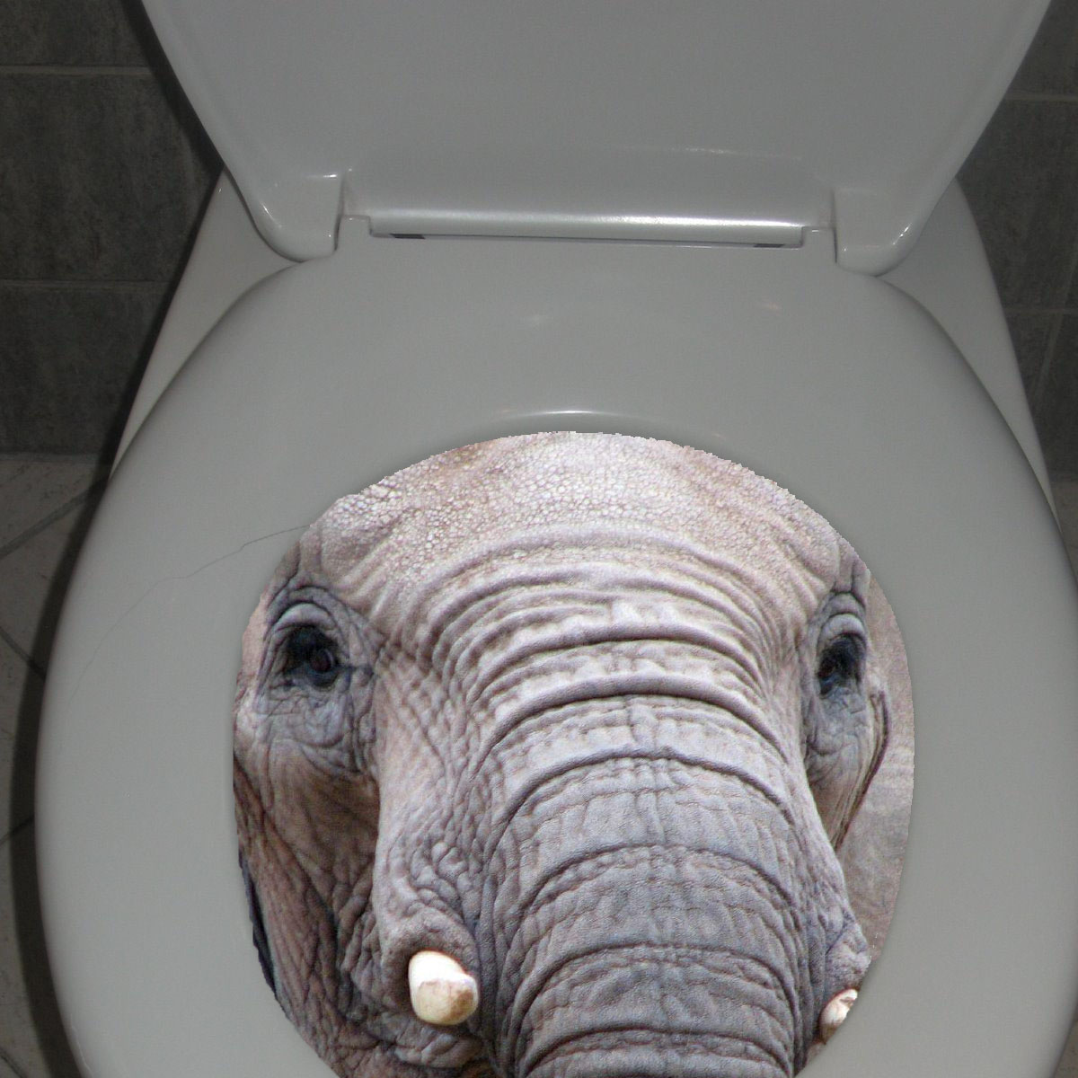 Photoshop Design by matiasgordon for DesignCrowd (Community Contests) | Design #8963795