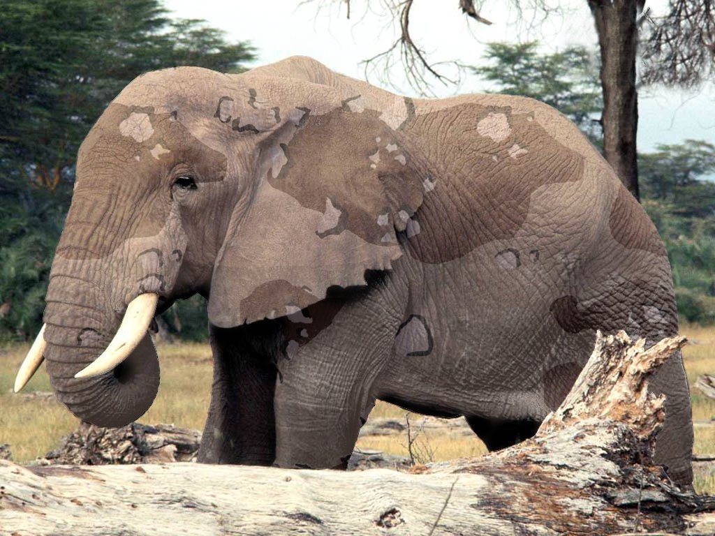 Photoshop-Design von Ben6219 für DesignCrowd (Community Contests) | Design #8963778