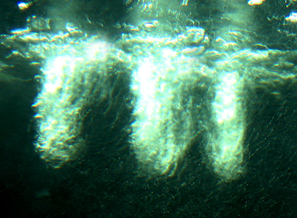 Photography by melissameyer for DesignCrowd (Community Contests) | Design #8962110