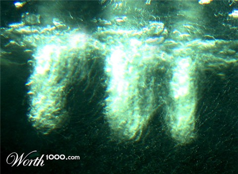 Photography by melissameyer