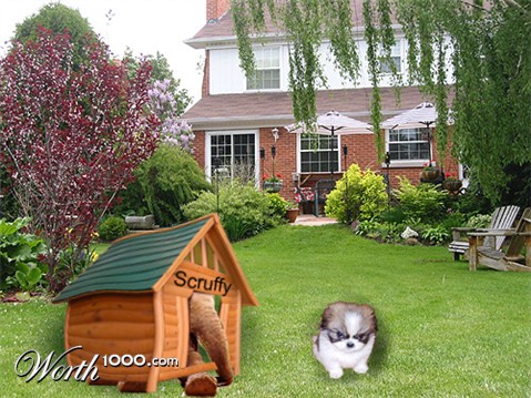 Photoshop Design by seklund2011
