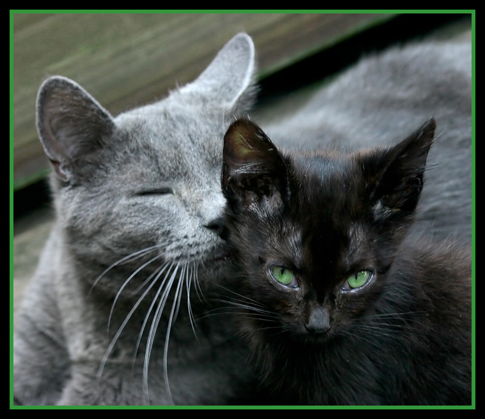 Photography by dollyllama for DesignCrowd (Community Contests) | Design #8966903