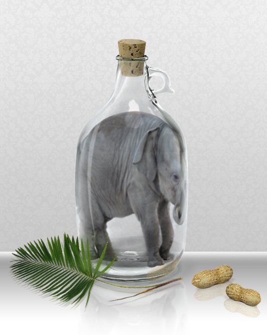Photoshop Design by ricardopt for DesignCrowd (Community Contests) | Design #8963810