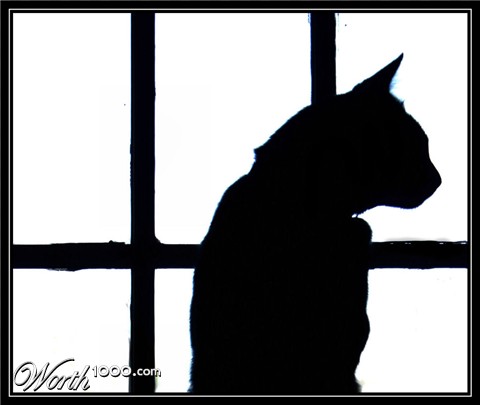 Photography by Suziecuchon
