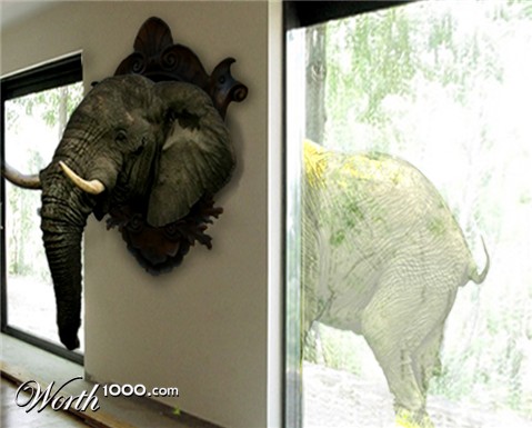 Photoshop Design by icerook