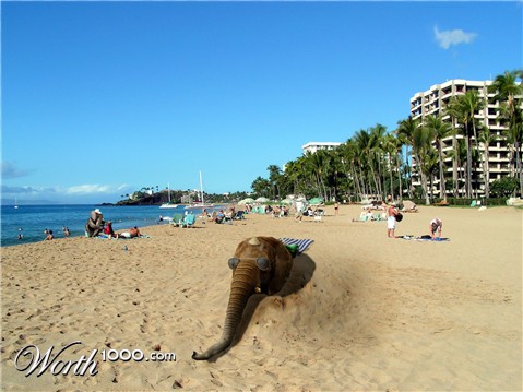 Photoshop Design by IgorAlmighty