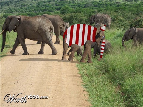 Photoshop Design by Kaaostic