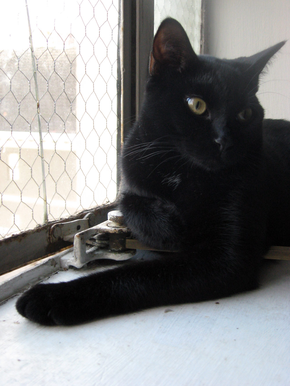 Photography by Spacejunk for DesignCrowd (Community Contests) | Design #8966956