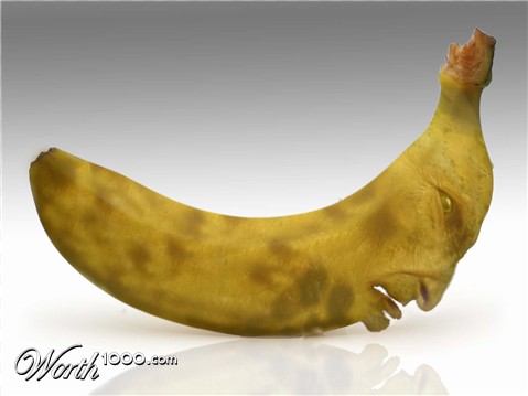 Photoshop Design by surgeAA