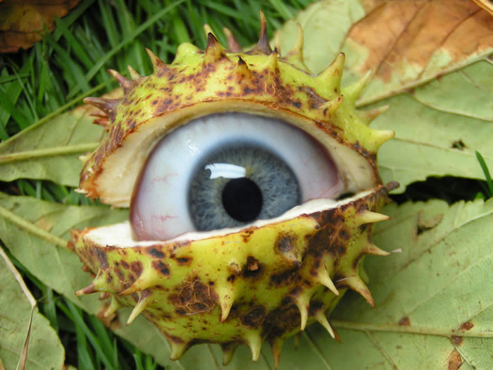 Photoshop Design by rayhyde for DesignCrowd (Community Contests) | Design #8963324