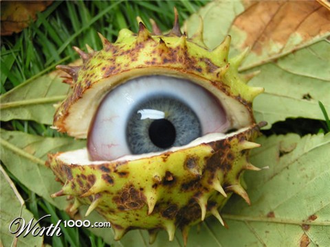 Photoshop Design by rayhyde