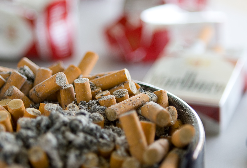 Photography by DozerLYP for DesignCrowd (Community Contests) | Design #8964263