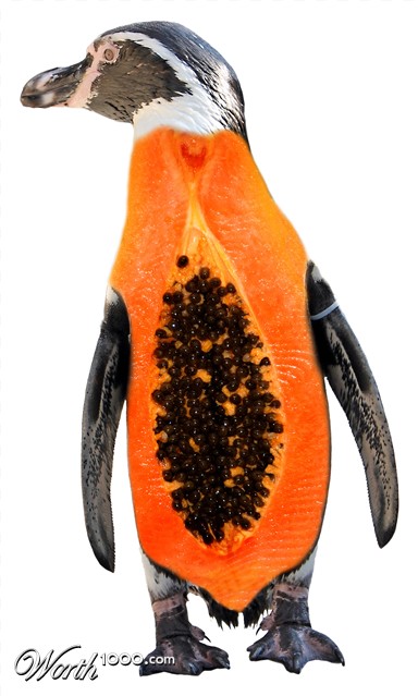 Photoshop Design by Pushkin70