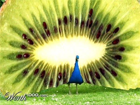 Photoshop Design by MrGiggles007