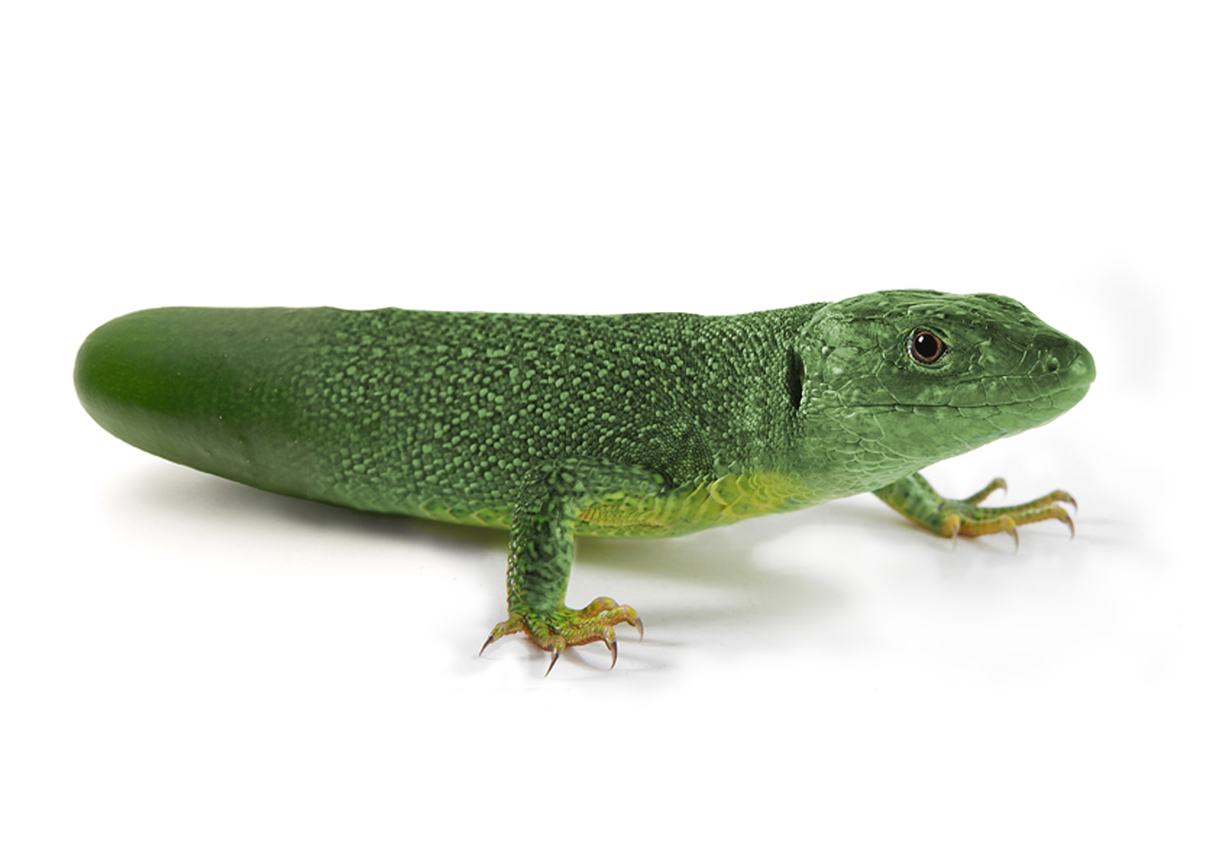 Photoshop Design by mandark123 for DesignCrowd (Community Contests) | Design #8963549