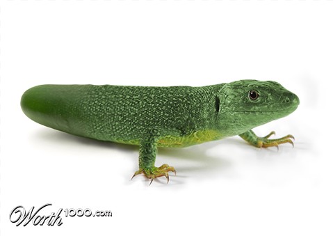 Photoshop Design by mandark123