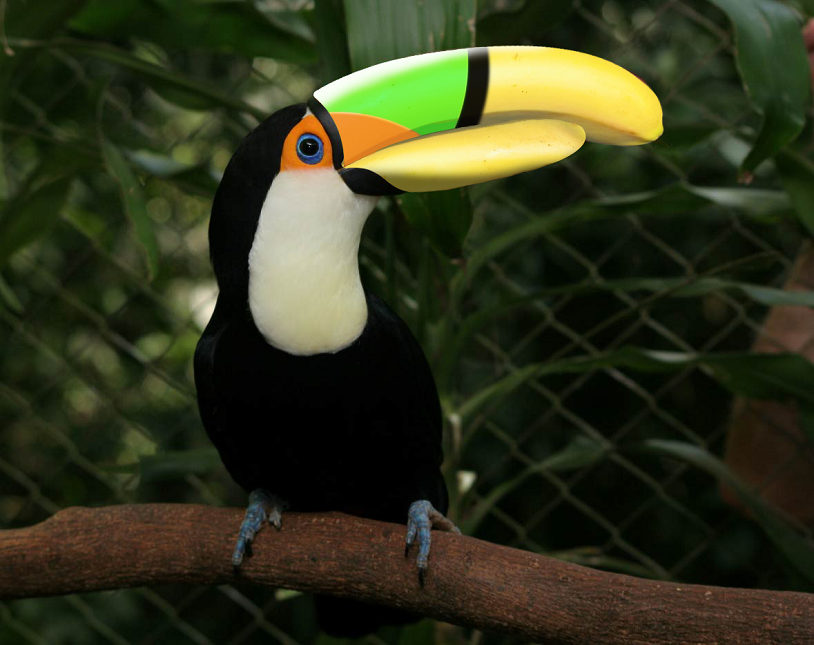 Photoshop Design by Sconz323 for DesignCrowd (Community Contests) | Design #8963562