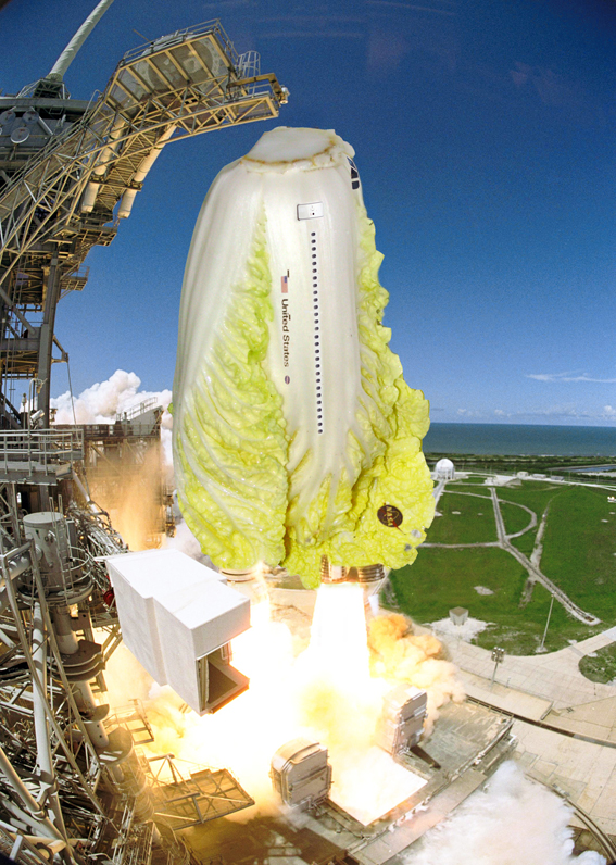 Photoshop Design by Groove51 for DesignCrowd (Community Contests) | Design #8963502