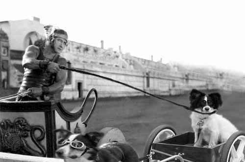 Photoshop-Design von ErrorsOccurred für DesignCrowd (Community Contests) | Design #8963619