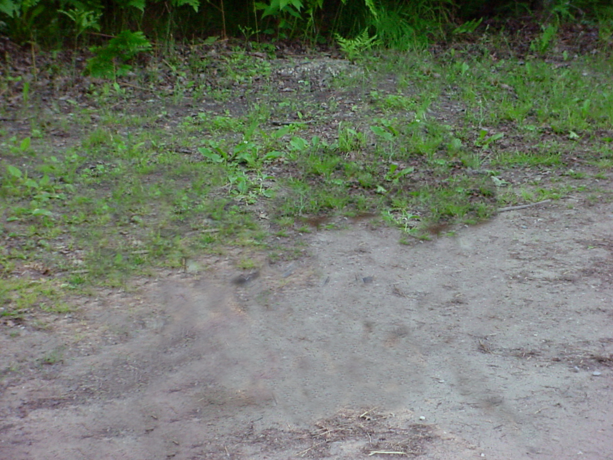 Photoshop Design by lbokel for DesignCrowd (Community Contests) | Design #8963609