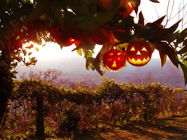 Photoshop-Design von Anrayzain für DesignCrowd (Community Contests) | Design #8963575