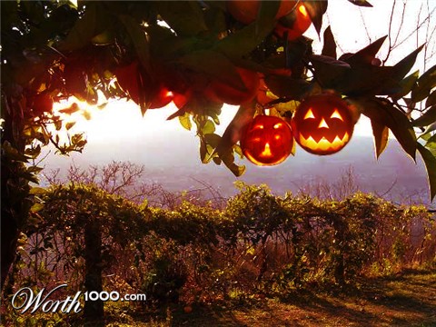 Photoshop Design by Anrayzain