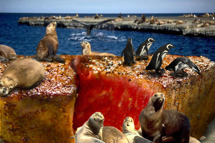 Photoshop Design by maci1976 for DesignCrowd (Community Contests) | Design #8965406