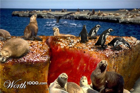 Photoshop Design by maci1976