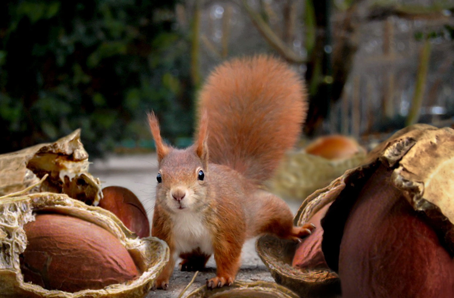 Photoshop Design by John93036 for DesignCrowd (Community Contests) | Design #8965390