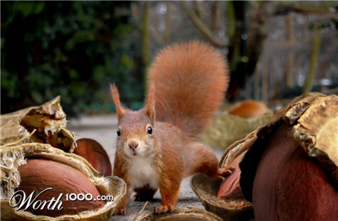 Photoshop Design by John93036