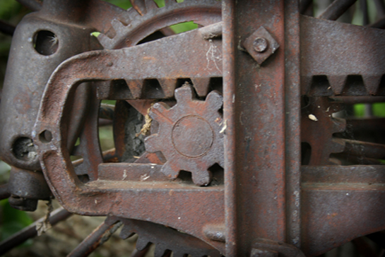 Photography by kevinness17 for DesignCrowd (Community Contests) | Design #8962166