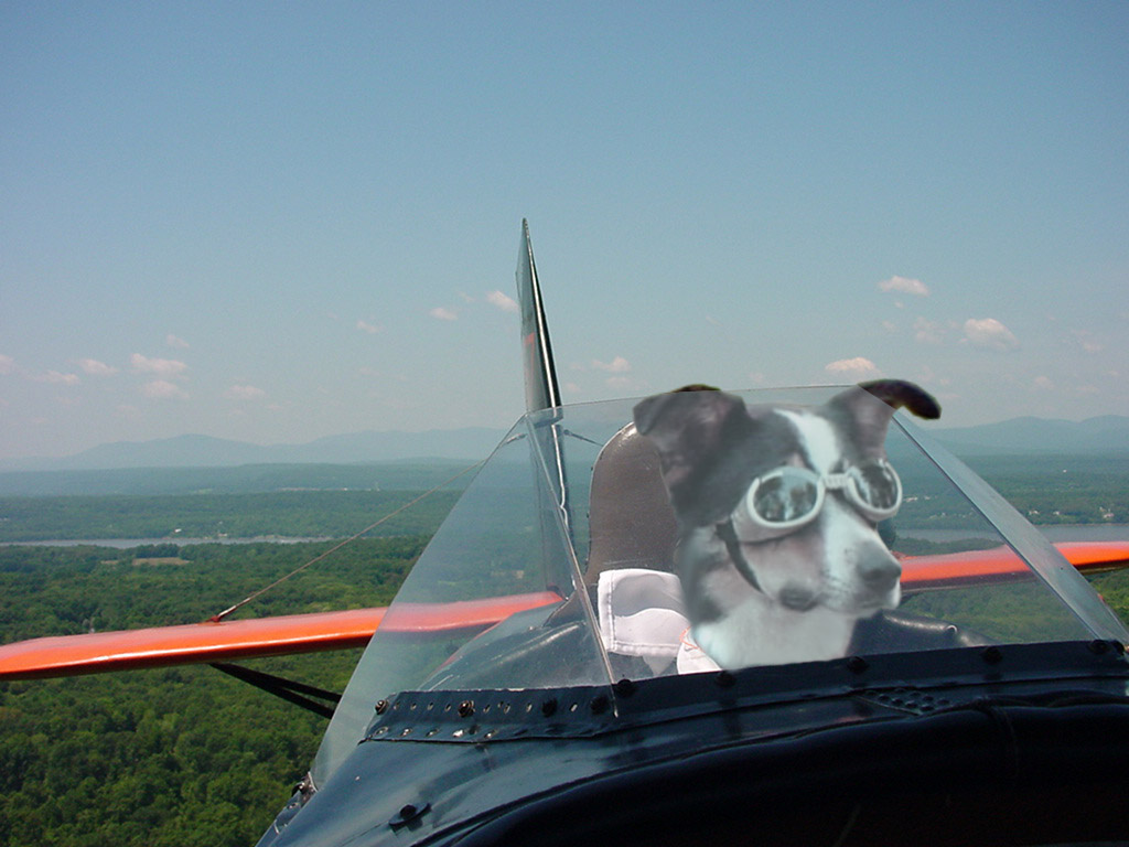 Design Photoshop par marijnpeter pour DesignCrowd (Community Contests) | Design #8963614