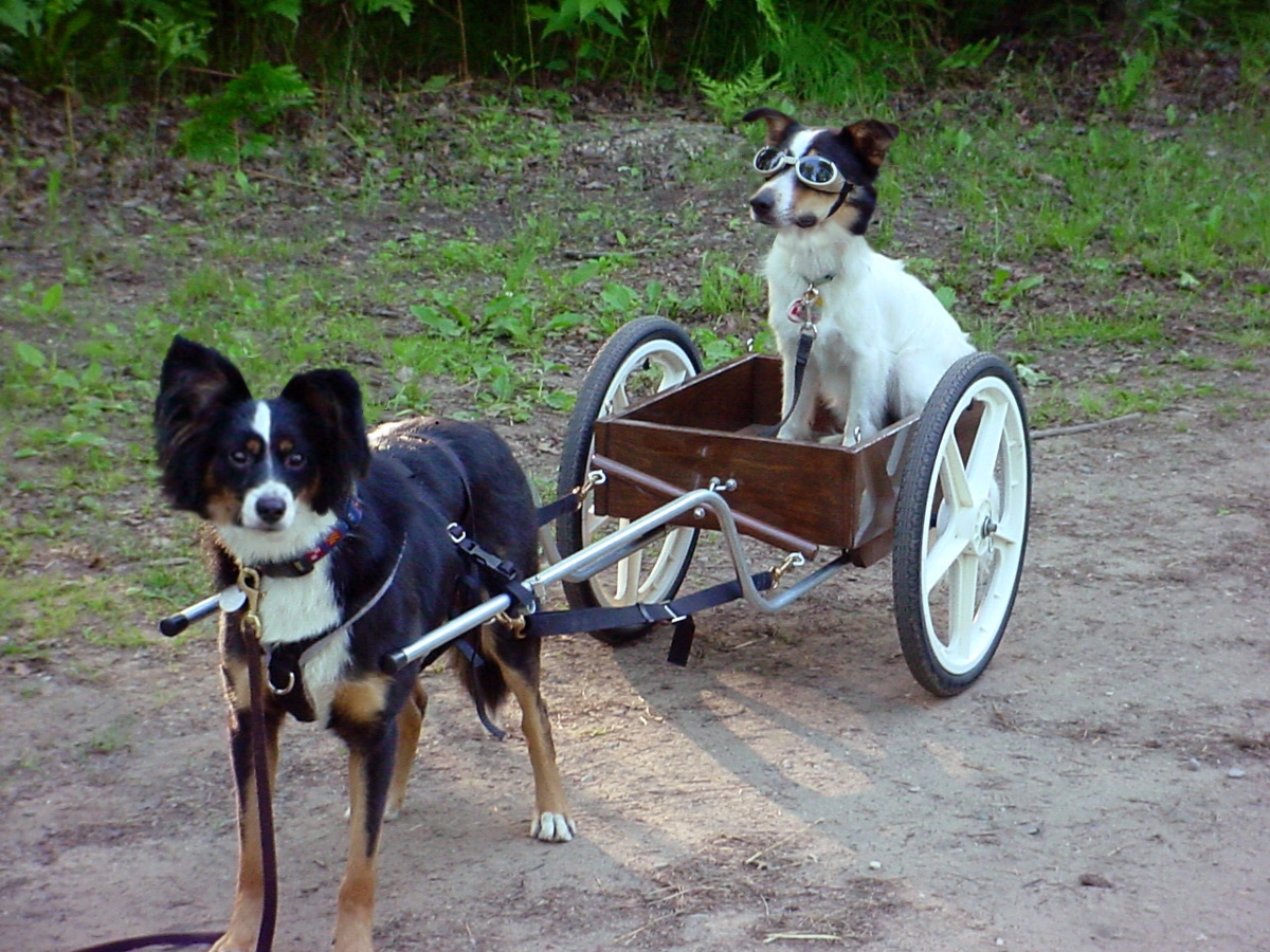 Photoshop Design by storyteacher2002 for DesignCrowd (Community Contests) | Design #8963635