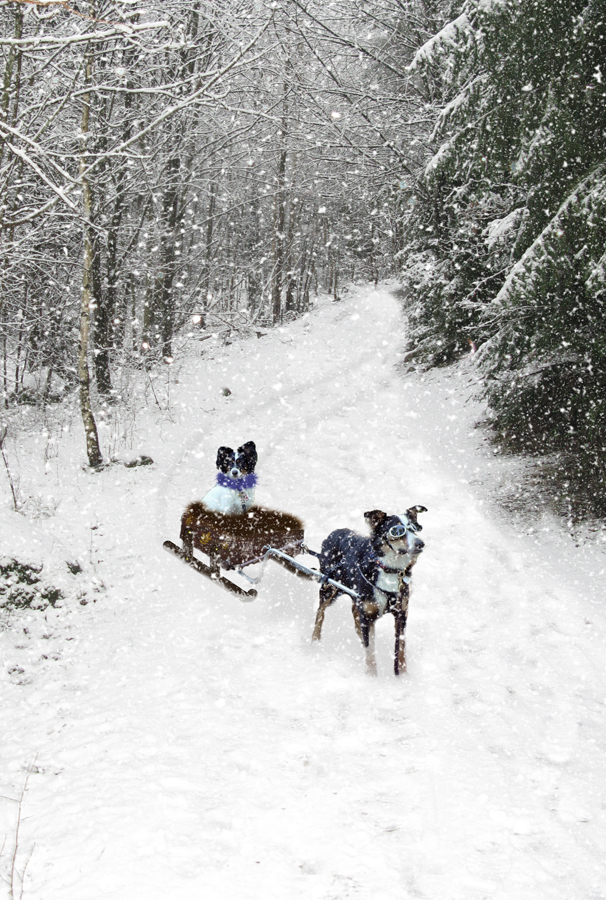 Photoshop Design by suss51luss for DesignCrowd (Community Contests) | Design #8963653