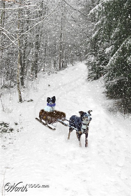 Photoshop Design by suss51luss