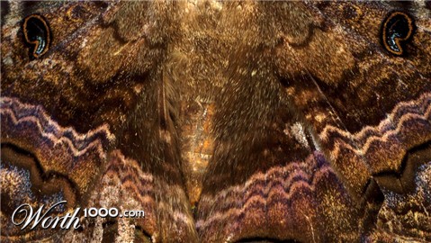 Photography by sausirhi