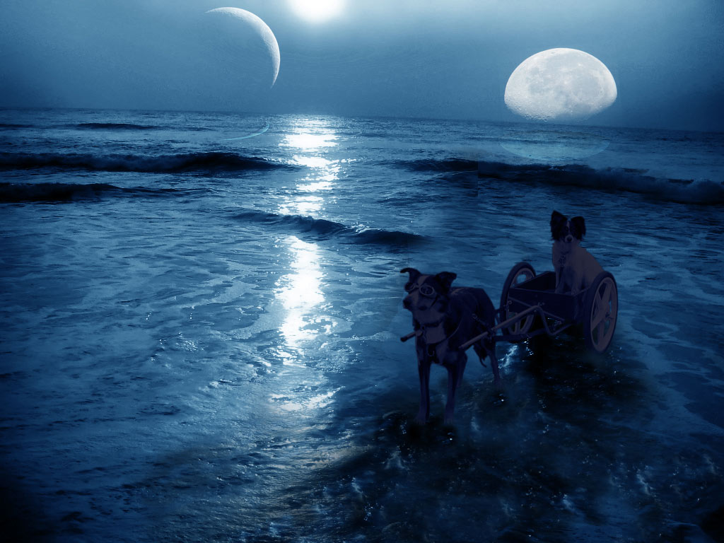 Photoshop Design by PissMyren for DesignCrowd (Community Contests) | Design #8963652
