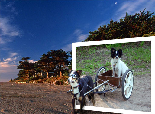 Photoshop Design by jbuchmann55 for DesignCrowd (Community Contests) | Design #8963639