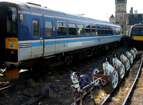 Photoshop Design by Thegardener for DesignCrowd (Community Contests) | Design #8963661