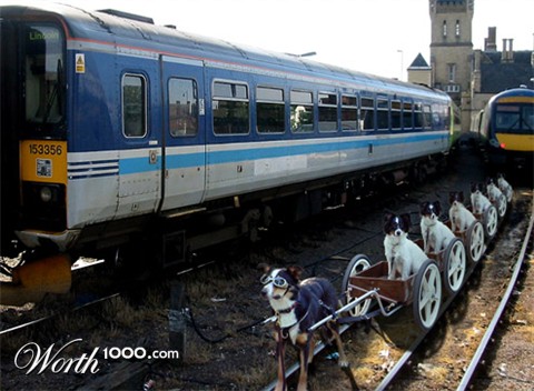 Photoshop Design by Thegardener