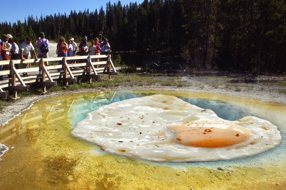 Photoshop-Design von linnylou1965 für DesignCrowd (Community Contests) | Design #8965542