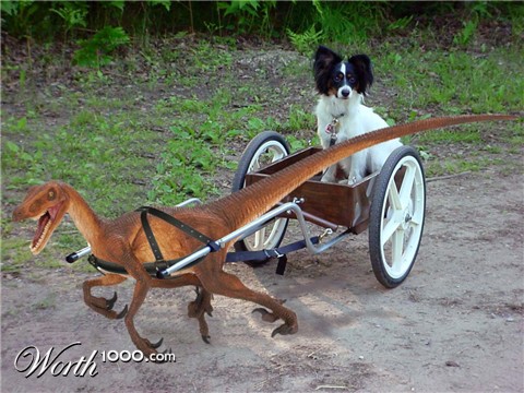 Photoshop Design by perrry