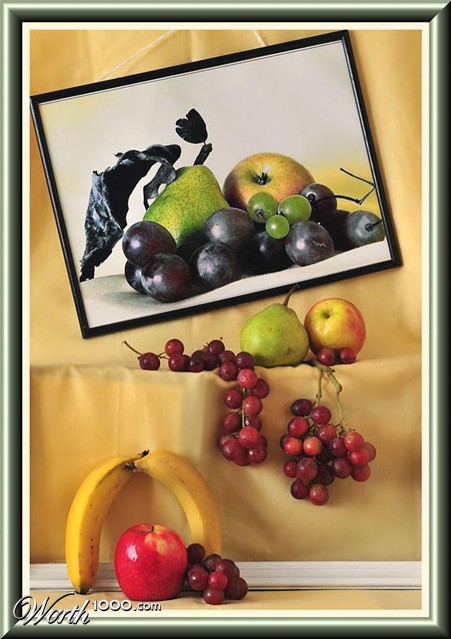 Photography by Isabella2006