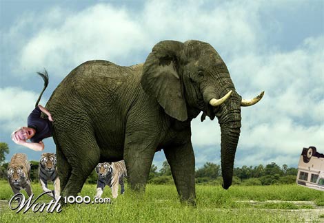 Photoshop Design by endrio