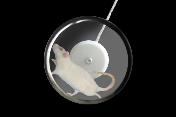 Photoshop Design by N33L3SH for DesignCrowd (Community Contests) | Design #8964363